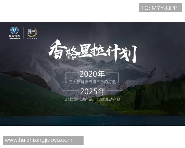 南京攀岩队的运营模式与发展策略深度解析与热点探讨